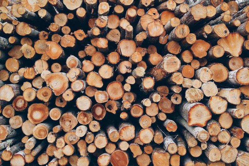 Privind procurarea masei lemnoase în baza catalogului de prețuri autorizat de stat