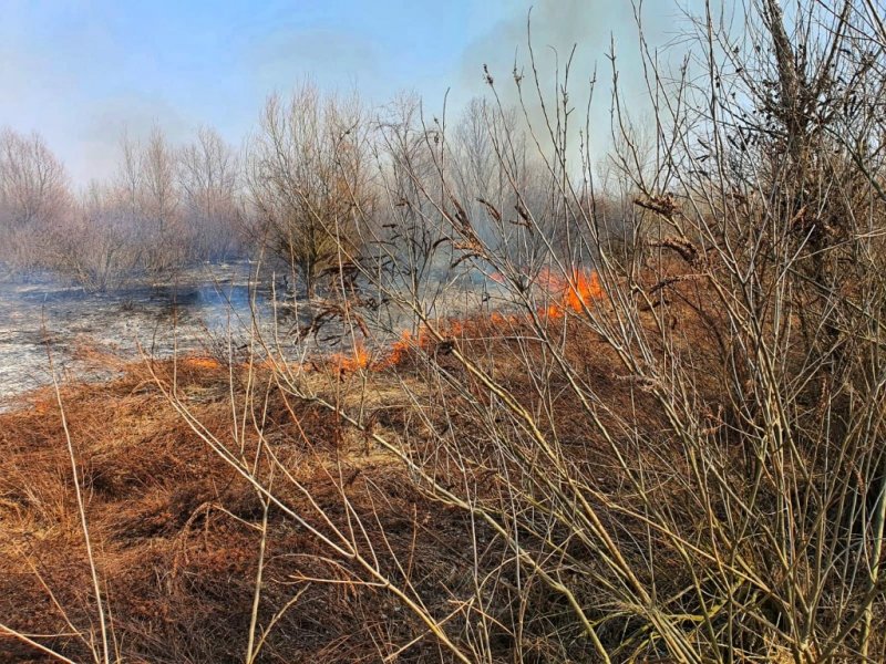 Privind apărarea împotriva incendiilor vegetației uscate